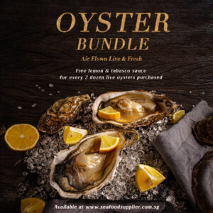 Oyster Live and Fresh (Square)