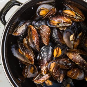 black mussel whole shell-700×700