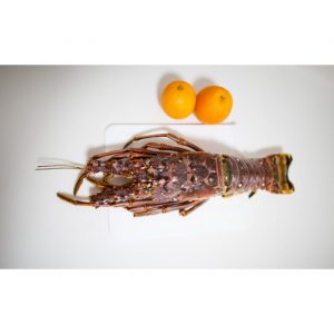 brazil-lobster-2-700×700