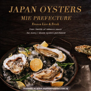 Japan Oyster (Square)