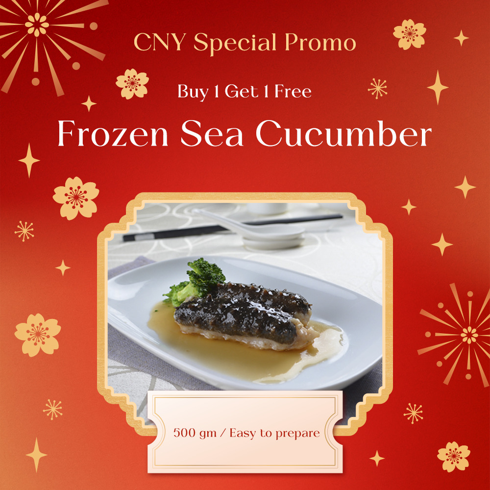 frozen sea cucumber_1000 x 1000